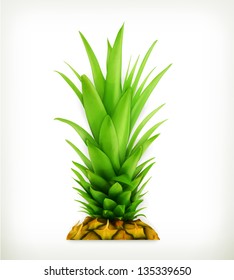 Pineapple Top Vector