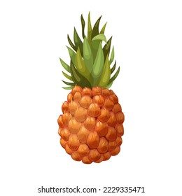 pineapple tropical cartoon. fruit summer, ananas food, leaf sweet, exotic pineapple tropical vector illustration