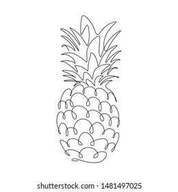 Pineapple tropical fruit in continuous line art drawing style. Black line sketch on white background. Vector illustration