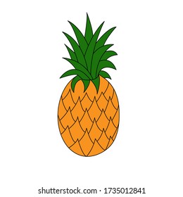  A pineapple. Tropical fruit. Doodle. Vector illustration.