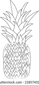 Pineapple tropical fruit. Fresh organic food. Vector illustration with sketch line art