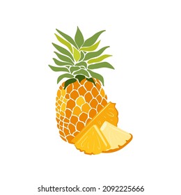 Pineapple. Tropical fruit and graphic design elements. Ingredients color cliparts. Sketch style smoothie or juice ingredients.