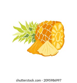 Pineapple. Tropical fruit and graphic design elements. Ingredients color cliparts. Sketch style smoothie or juice ingredients.