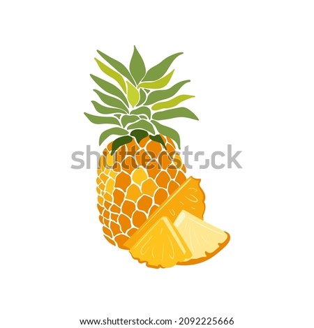 Pineapple. Tropical fruit and graphic design elements. Ingredients color cliparts. Sketch style smoothie or juice ingredients.