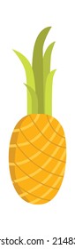 Pineapple tropical fruit icon. Vector illustration