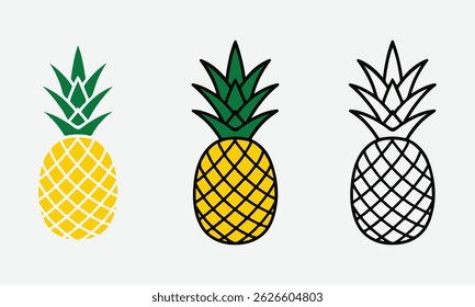 Pineapple Tropical Fruit Illustration in Line and Colors, Vector Style on White Background