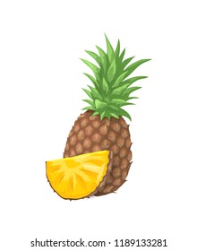 Pineapple tropical fruit isolated icon vector. Exotic fresh nutritious plant with leaves, sliced product. Succulent vegan product contain vitamins