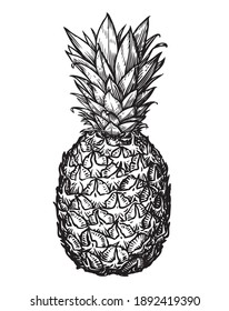 Pineapple. Tropical fruit isolated on white background