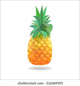 Pineapple tropical fruit isolated on white background.Vector 