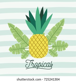 pineapple tropical fruit with leaves on decorative lines color background vector illustration