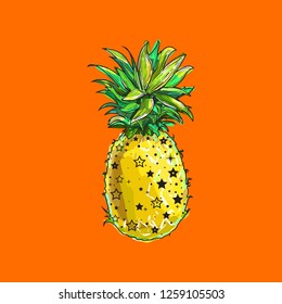 Pineapple, a tropical fruit. Vector color illustration, isolated and stylized. Design element for printing on t-shirts, and Souvenirs. Trendy fruit. Exotic food. Picturesque sketch.