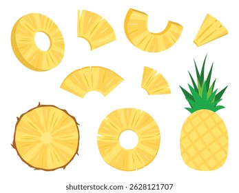 Pineapple tropical fruit vector icon set. half and sliced isolated on white background. Vector hand drawn illustration.