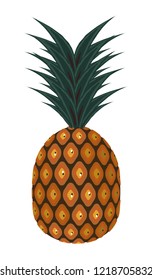 Pineapple tropical fruit vector illustration