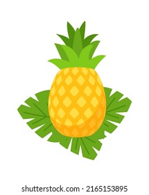 Pineapple Tropical Fruit. Vector illustration