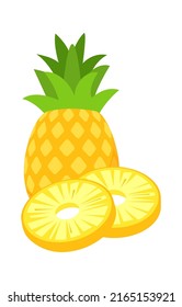 Pineapple Tropical Fruit. Vector illustration