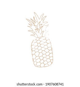 Pineapple, tropical fruit. Vector image of a pineapple. Doodle style. Brown stroke on a white background. For stylized page, sticker or tag design