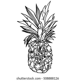 Pineapple tropical fruit. Vector object.