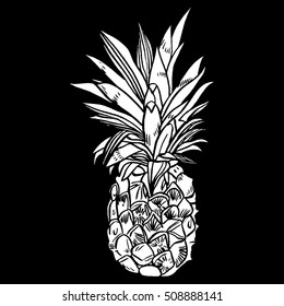 Pineapple tropical fruit. Vector object.