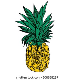 Pineapple tropical fruit. Vector object.