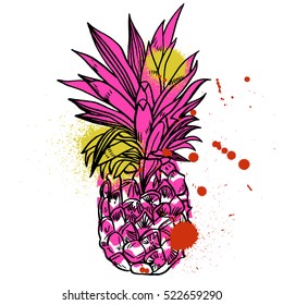 Pineapple tropical fruit. Vector object.