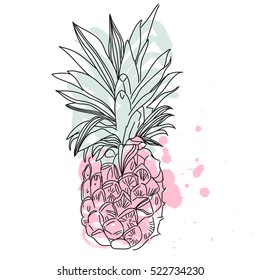 Pineapple tropical fruit. Vector object.