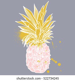 Pineapple tropical fruit. Vector object.