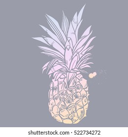 Pineapple tropical fruit. Vector object.