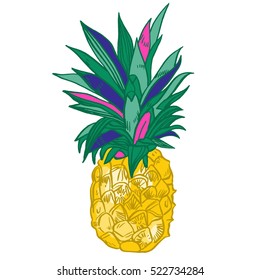 Pineapple tropical fruit. Vector object.