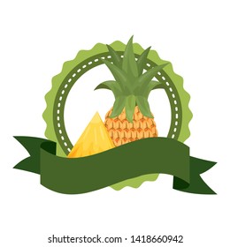 pineapple tropical fruits badge ribbon vector illustration