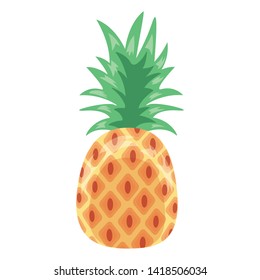 pineapple tropical fruits on white background vector illustration
