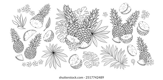 Pineapple Tropical Fruits Set. Vector Hand Drawn Line Art Design Elements for Tattoo, Logo or Coloring Pages