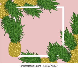 Pineapple - tropical isolated frame