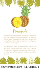 Pineapple tropical plant, edible multiple fruit vector poster text sample and palm leaves. Tropical food, dieting vegetarian exotic item with vitamins