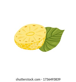 Pineapple. Tropical summer fruit isolated on a white background. Citrus in hand drawn style. Scandinavian nordic design for fashion or interior or cover or textile or background. 