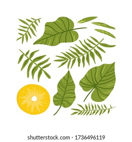 Pineapple. Tropical summer fruit isolated on a white background. Citrus in hand drawn style. Scandinavian nordic design for fashion or interior or cover or textile or background. 
