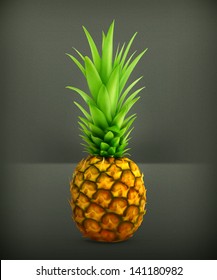 Pineapple vector