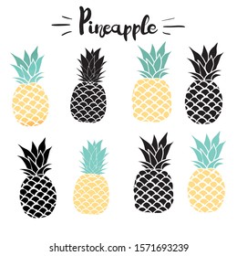 Pineapple vector black silhouette and sketch. Vector illustration.