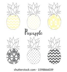 Pineapple vector black silhouette and sketch. Vector illustration.