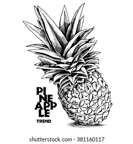 Pineapple. Vector black and white illustration.
