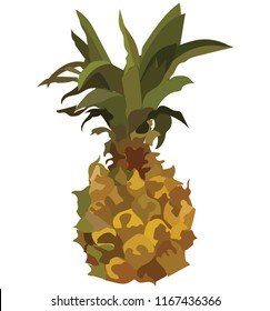 Pineapple. Vector colorful illustration isolated on white background.