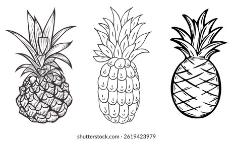 Pineapple vector design illustration, set pineapple vector