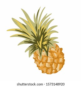 Pineapple vector design. tropical stock.