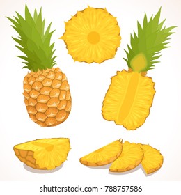 Pineapple vector. A detailed illustration of the whole, half and chopped ananas. Set isolated on white background.