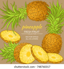 pineapple vector frame