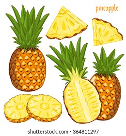 Pineapple vector. Fresh tropical fruit ananas in cartoon style. Half and ring vector pineapple slice, pineaple piece isolated on white background. Citrus fruit chunk.