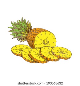 Pineapple, vector hand drawing