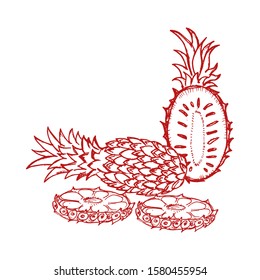 Pineapple vector hand drawn illustration. Icon