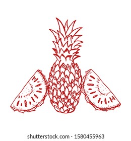 Pineapple vector hand drawn illustration. Icon