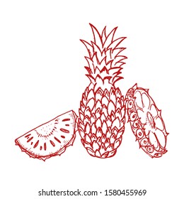 Pineapple vector hand drawn illustration. Icon
