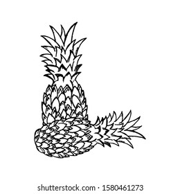 Pineapple vector hand drawn illustration. Icon